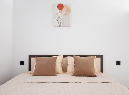Sutki Rent студия у центра Алмазова